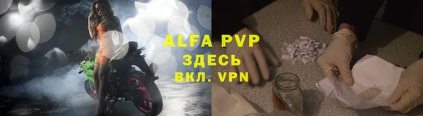 не бодяженный Иннополис