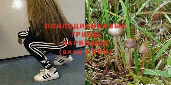 скорость Инта